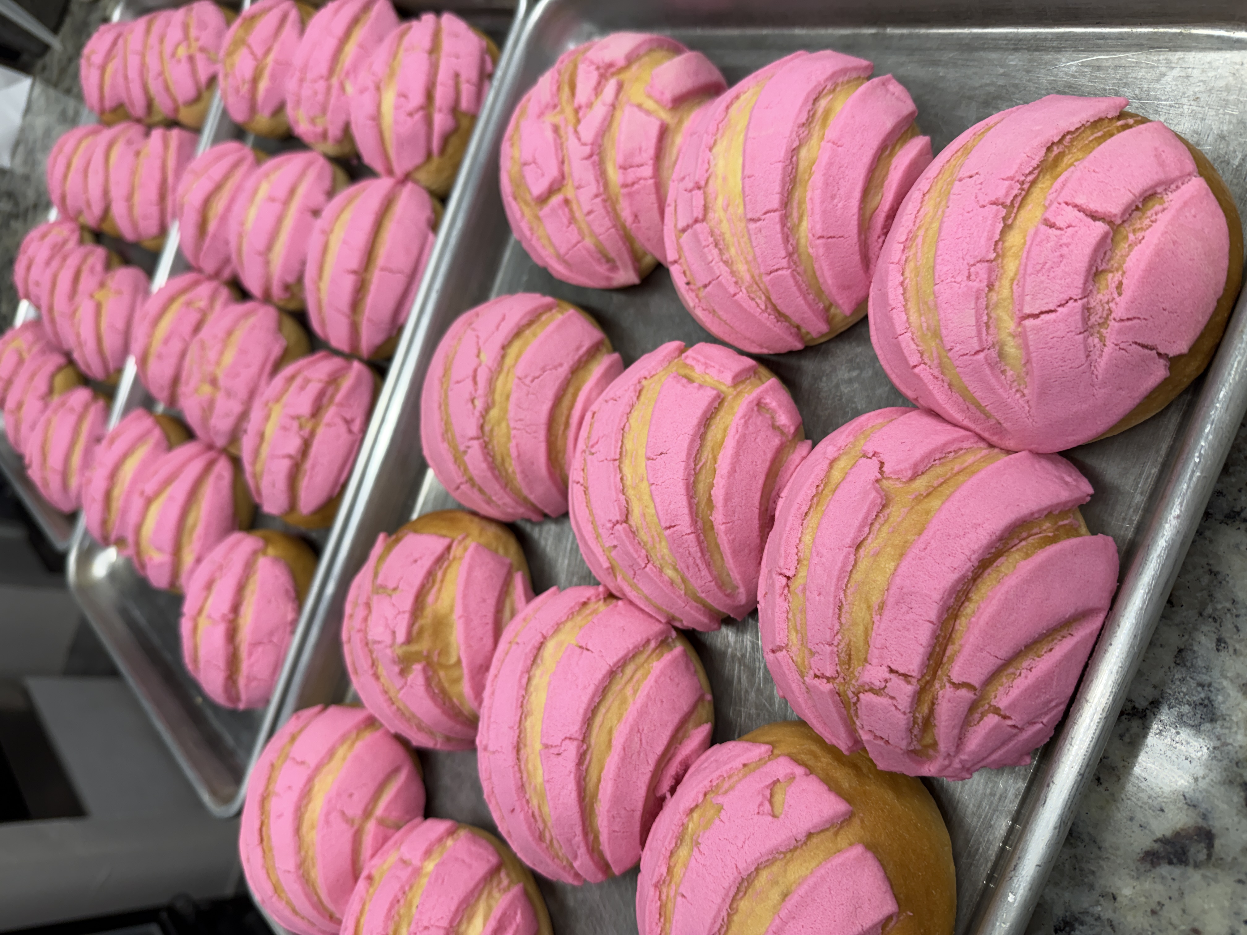 Conchas ! Sweet Bread 